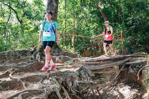 BIB: 
                            <button type="button" onclick="openModal(27720686)" class="btn btn-primary btn-sm float-right btn-popup" data-toggle="modal" data-target=".modal-high-quality">
                        <i class="fas fa-shopping-cart"></i> Add to Cart
                    </button>
                                            <button type="button" onclick="isThisMe(27720686, true)" class="btn btn-success btn-sm float-right btn-popup btn-isme hidden" data-toggle="tooltip" data-placement="bottom" title="นี่คือรูปของคุณใช่ไหม คลิกที่นี่เพื่อเอาเข้าอัลบั้ม">
                        <i class="fas fa-plus"></i> Add to album
                    </button>
                    <button type="button" onclick="isThisMe(27720686, false)" class="btn btn-warning btn-sm float-right btn-popup btn-isnotme hidden">
                        <i class="fas fa-ban"></i> Remove from album
                    </button>